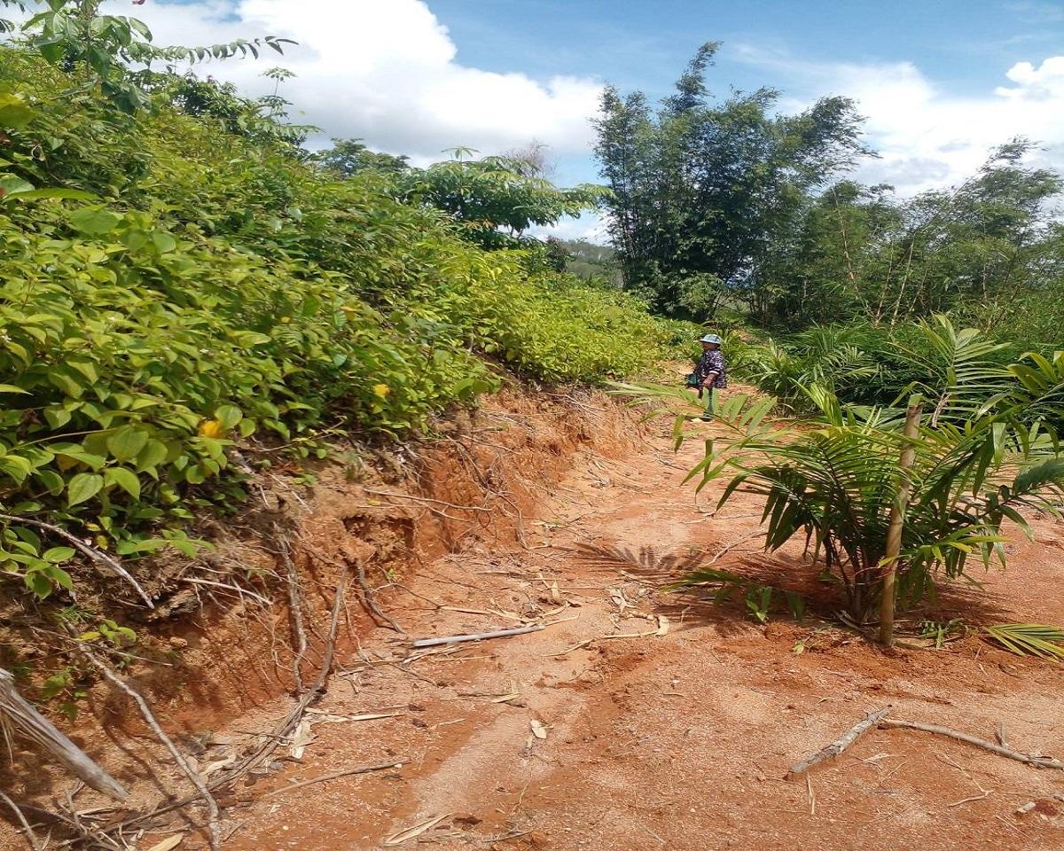 FHP-V4940 ท้ายเหมือง พังงา 