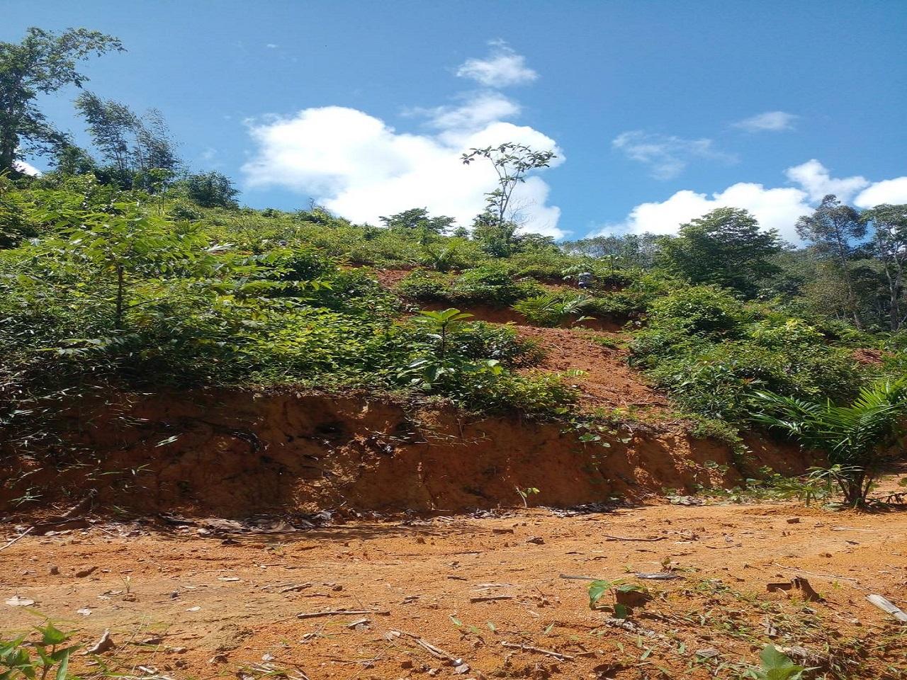 FHP-V4940 ท้ายเหมือง พังงา 