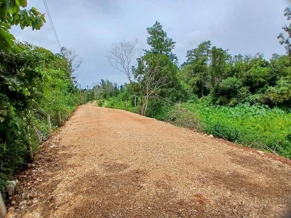 FHP-D3088 หาดใหญ่ สงขลา 