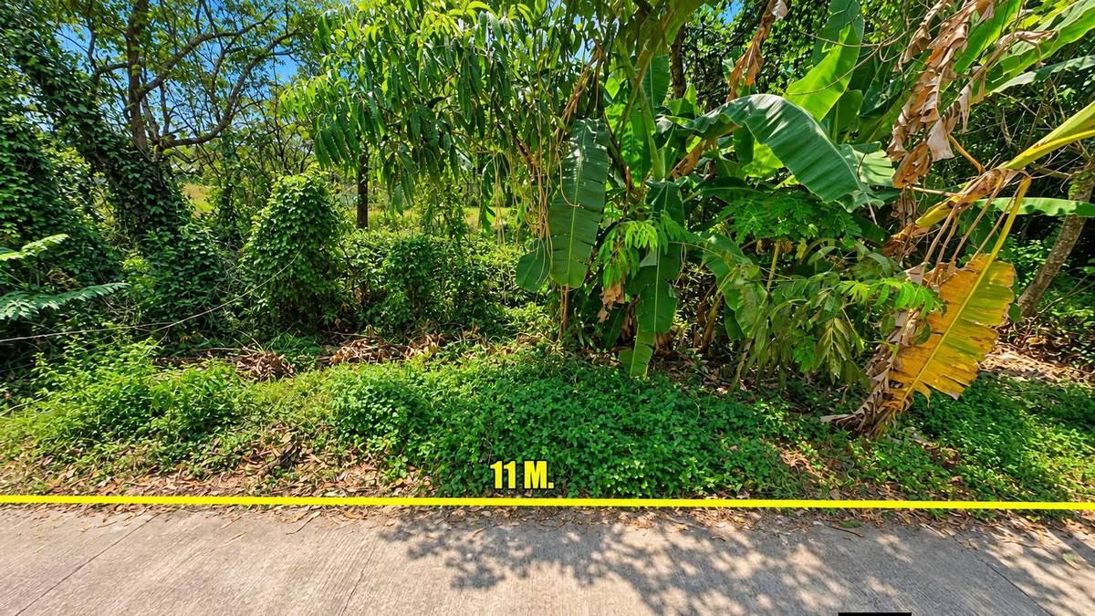 FHP-I6528 เมืองกระบี่ กระบี่ 