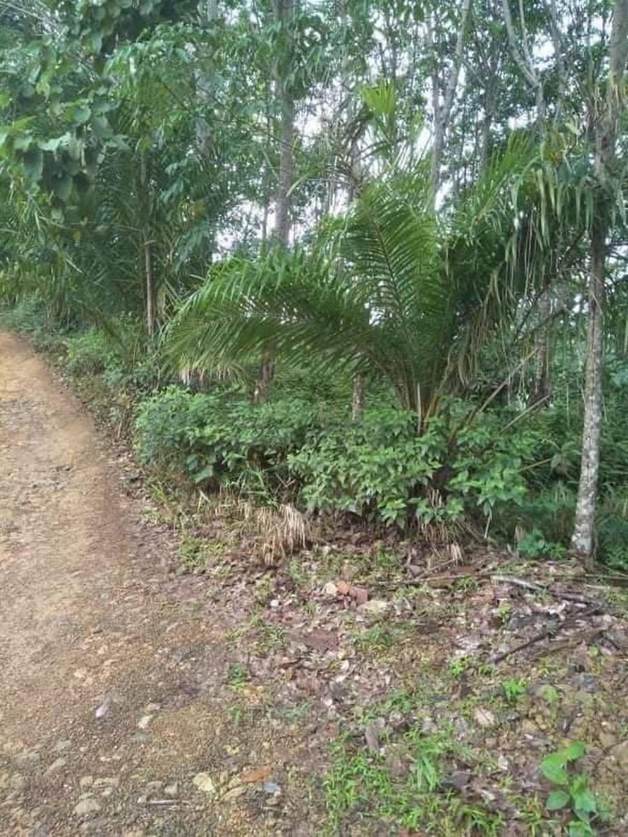 FHP-Z8668 ตะกั่วทุ่ง พังงา 
