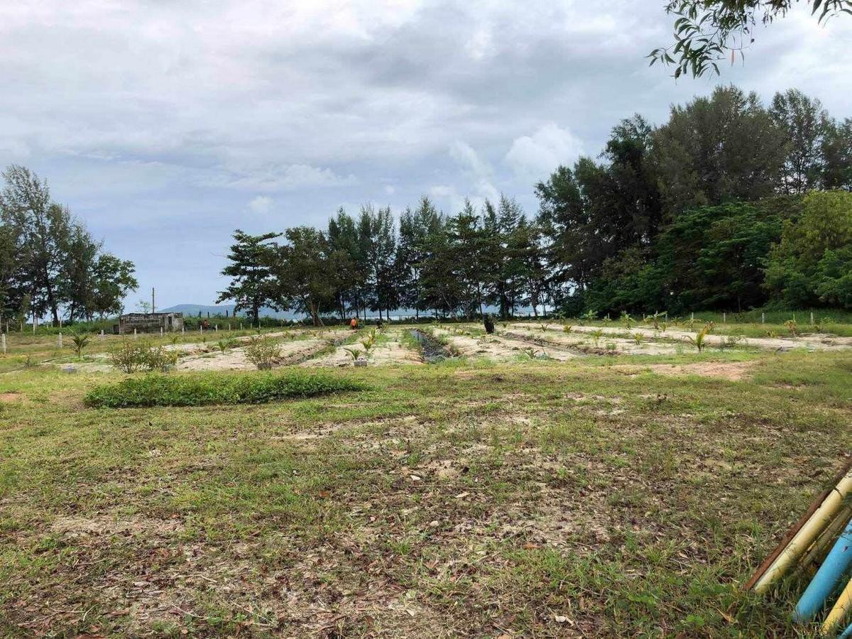 FHP-O6052 เมืองภูเก็ต ภูเก็ต 