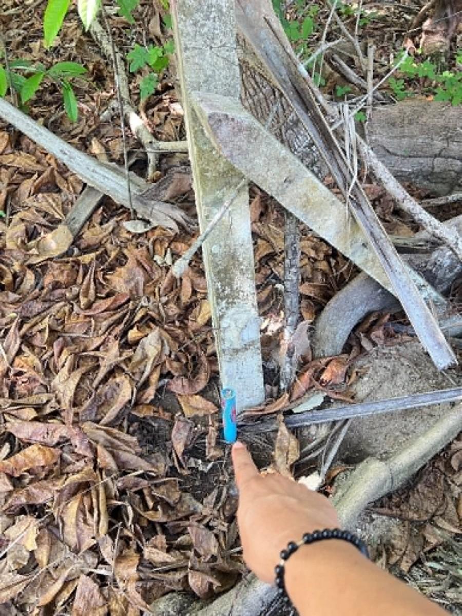 FHP-P5012 เมืองภูเก็ต ภูเก็ต 