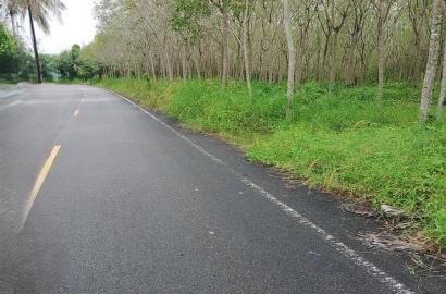 FHP-79396 ตะกั่วทุ่ง พังงา 