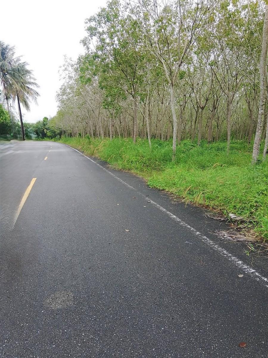 FHP-79396 ตะกั่วทุ่ง พังงา 