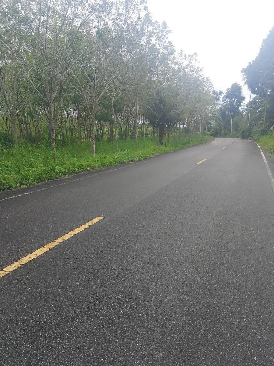 FHP-79396 ตะกั่วทุ่ง พังงา 