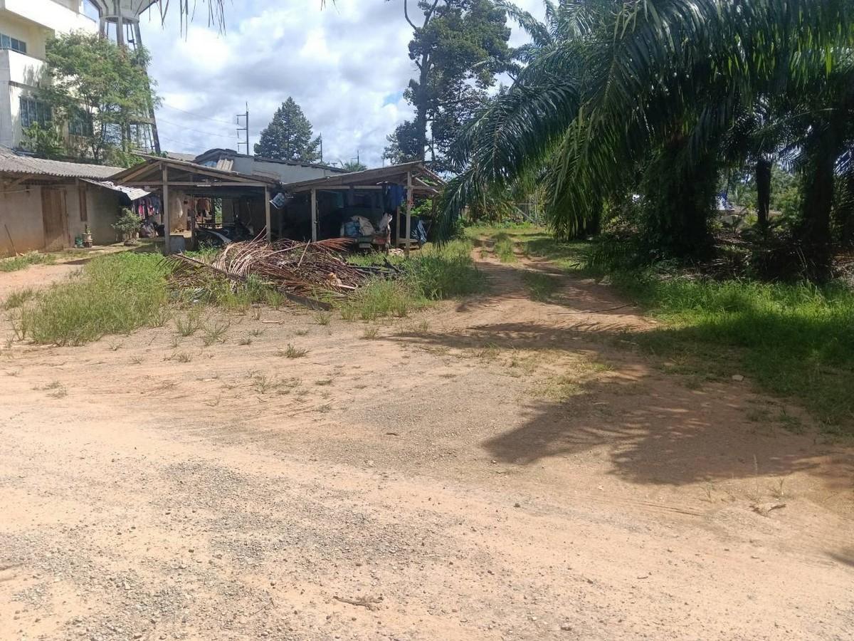 FHP-D9767 เมืองกระบี่ กระบี่ 