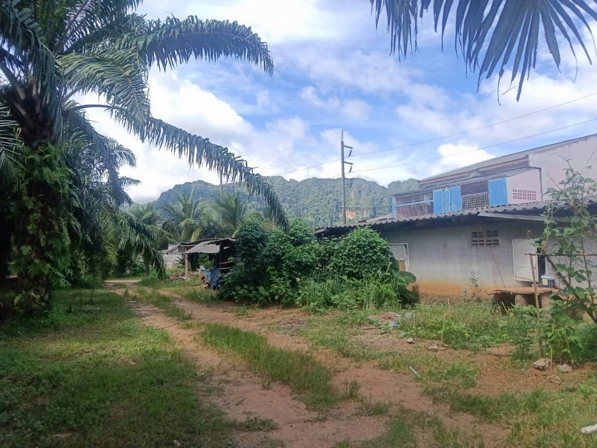 FHP-D9767 เมืองกระบี่ กระบี่ 