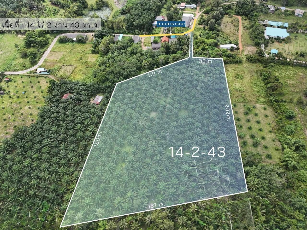 FHP-F0854 เมืองกระบี่ กระบี่ 