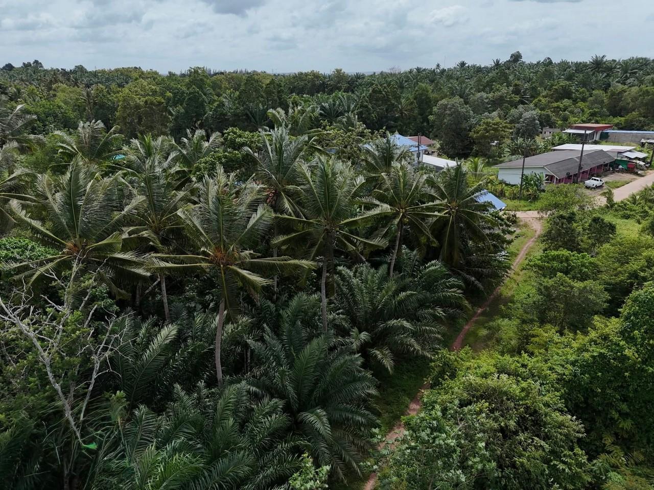 FHP-F0854 เมืองกระบี่ กระบี่ 