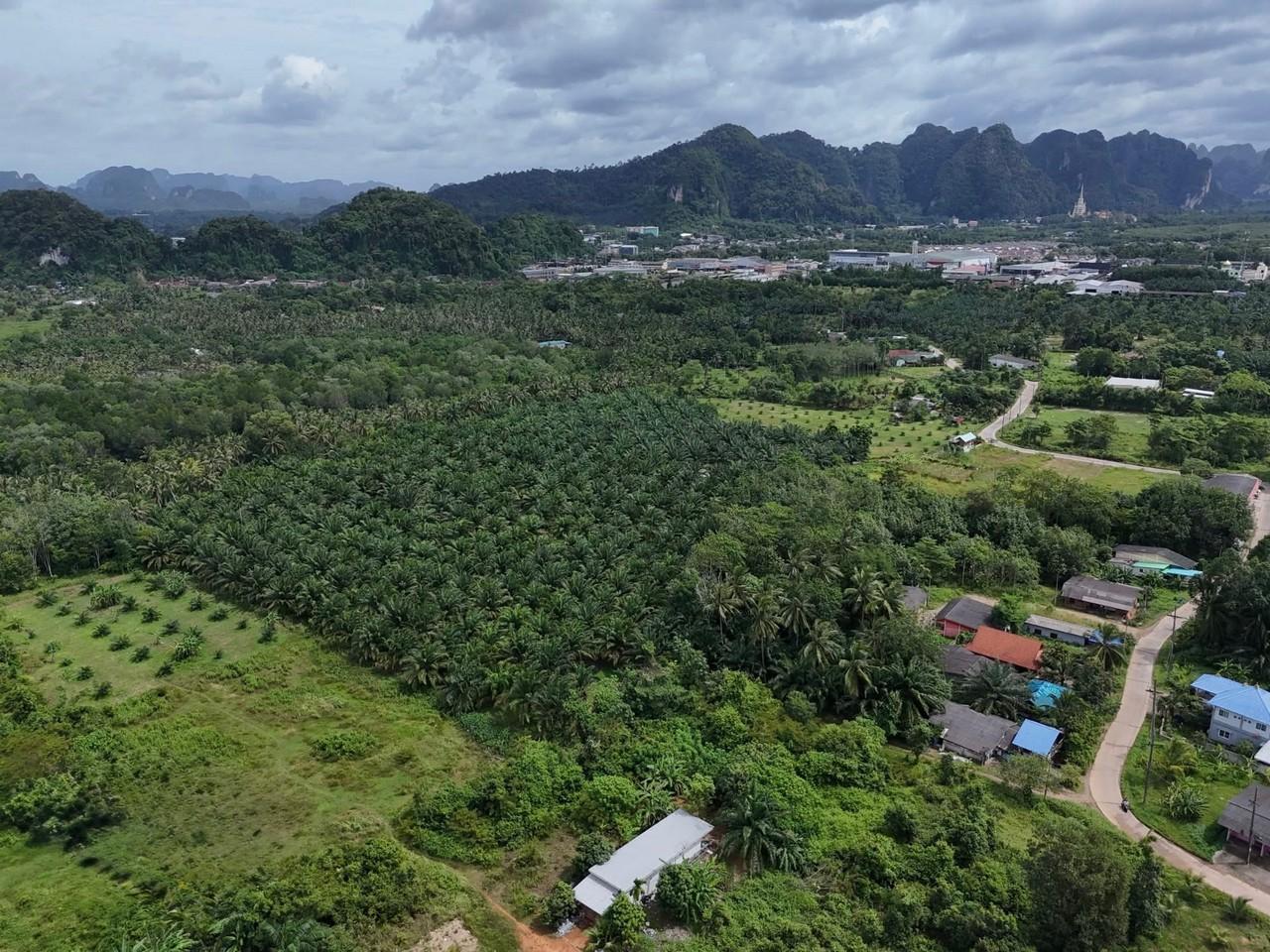 FHP-F0854 เมืองกระบี่ กระบี่ 