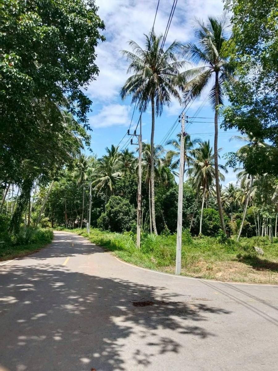 FHP-V6390 หาดใหญ่ สงขลา 