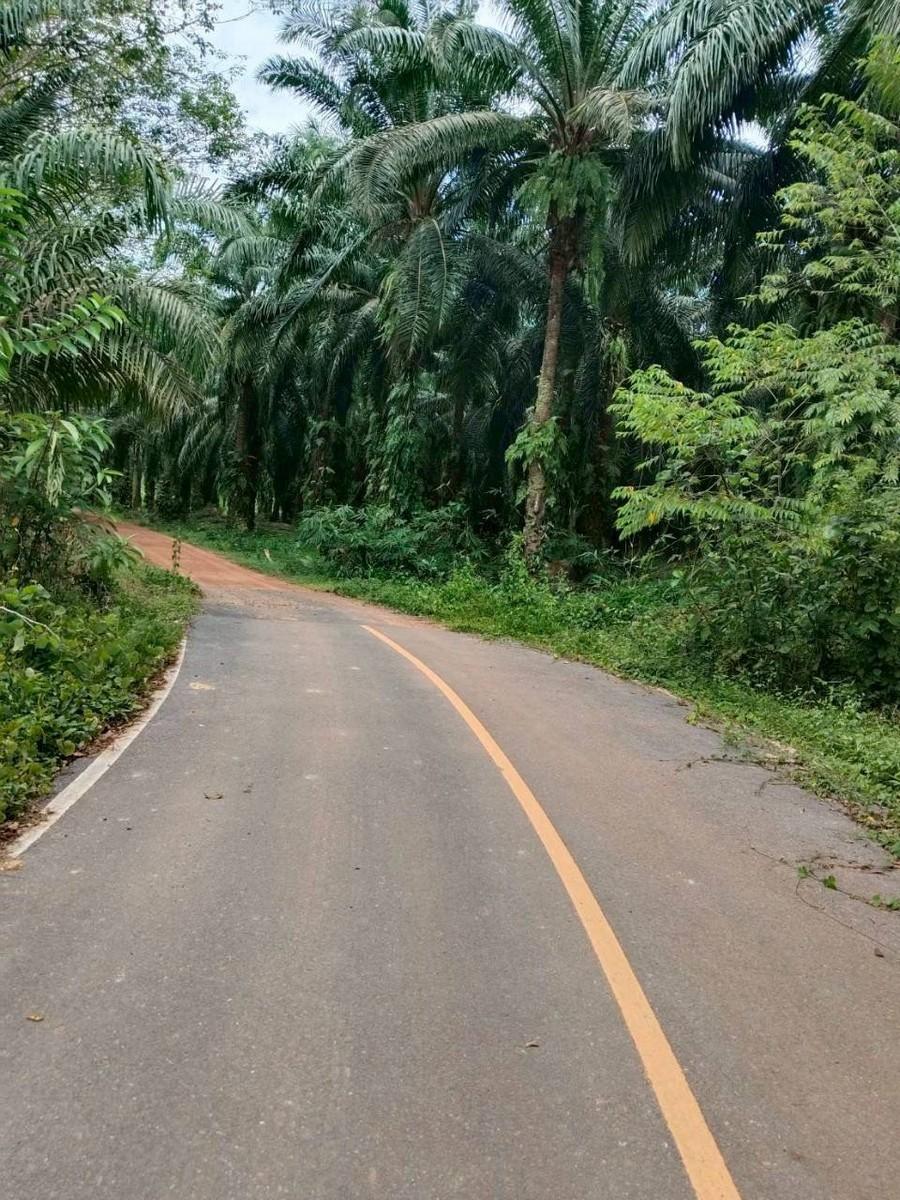 FHP-V6390 หาดใหญ่ สงขลา 