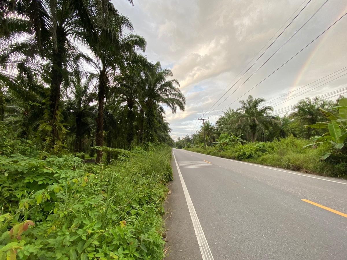 FHP-H3557 เมืองพังงา พังงา 