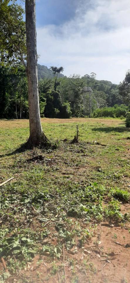 FHP-N1220 ถลาง ภูเก็ต 