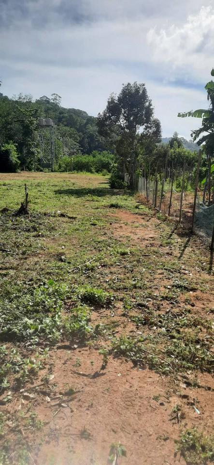 FHP-N1220 ถลาง ภูเก็ต 