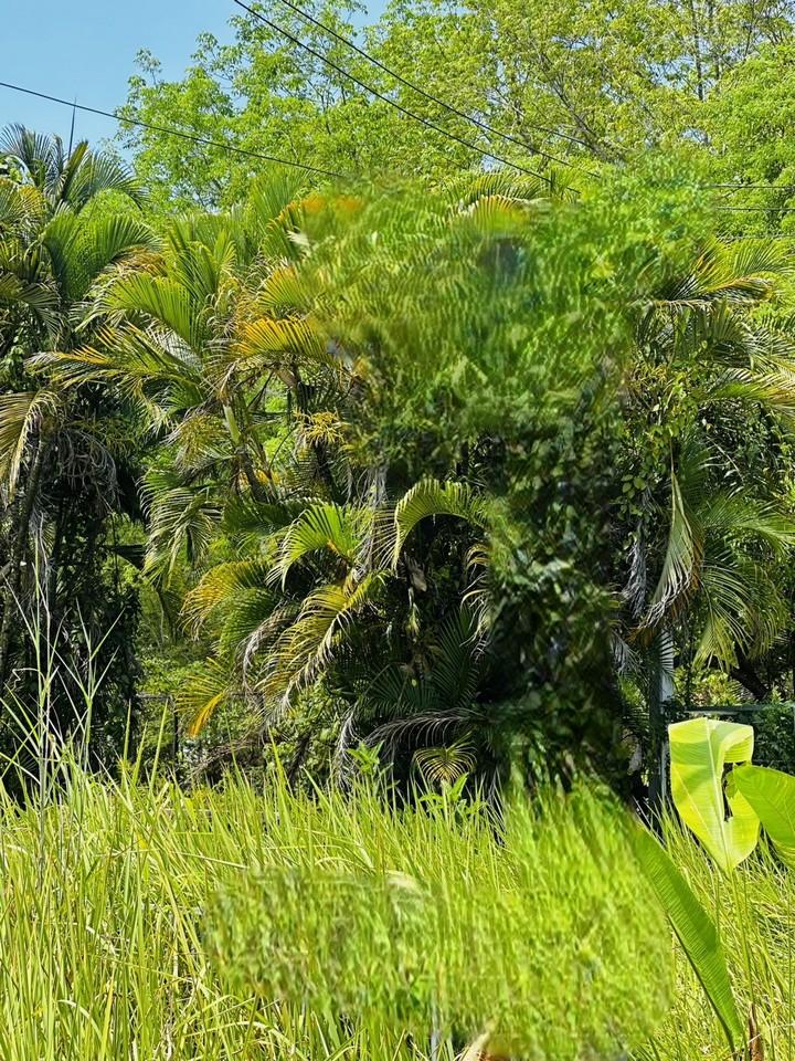 FHP-E8649 ถลาง ภูเก็ต 